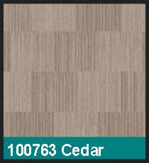 100763 Cedar